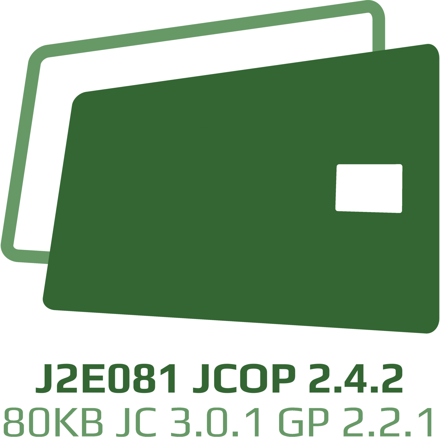 J2E081 JCOP v2.4.2 R3 80 KB (JavaCard 3.0.1 Classic) [Variants] - MoTechno