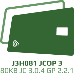 J3H081